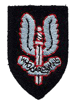 Otherrankscapbadge2