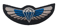 Sas wings
